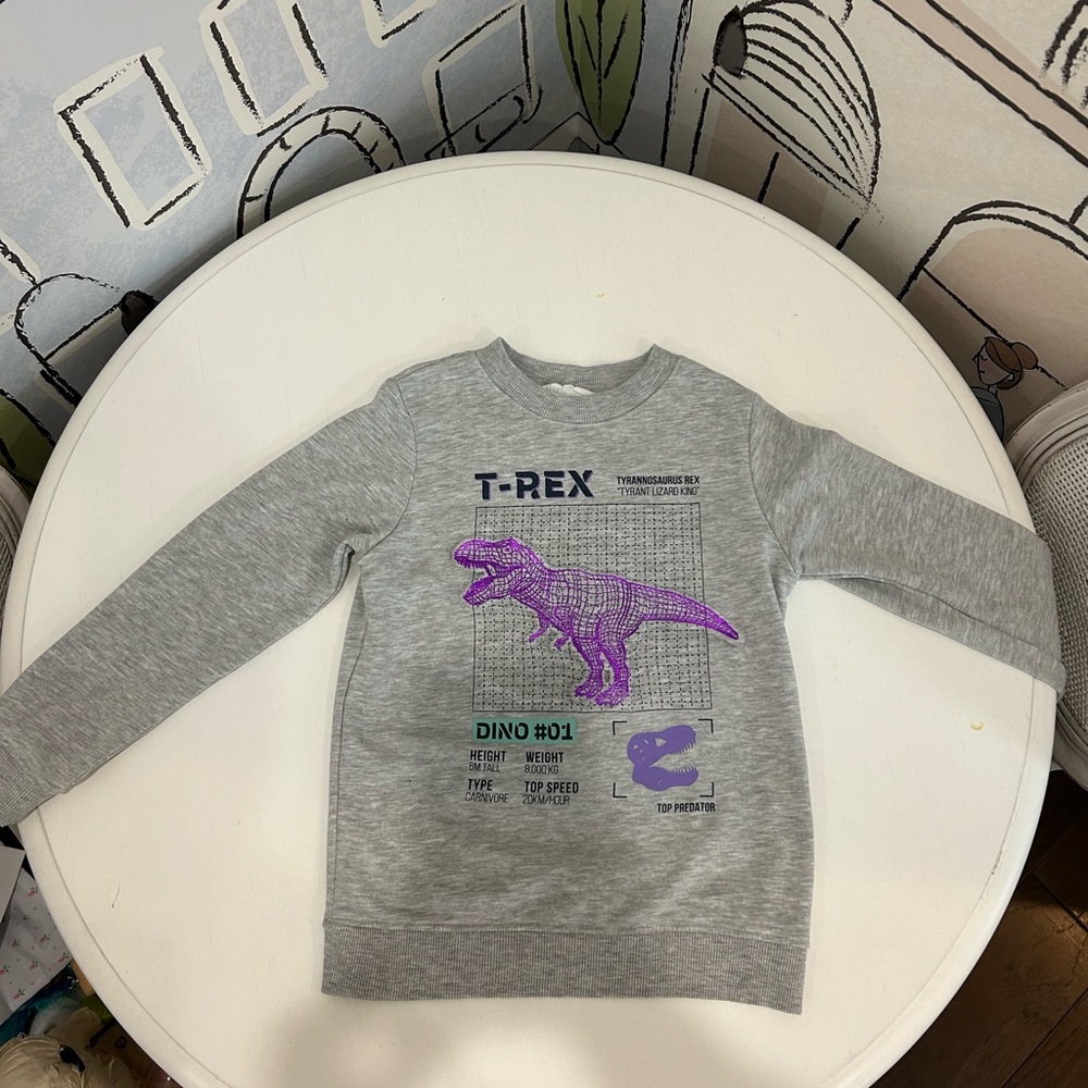 H&M dinosaur sweatshirt